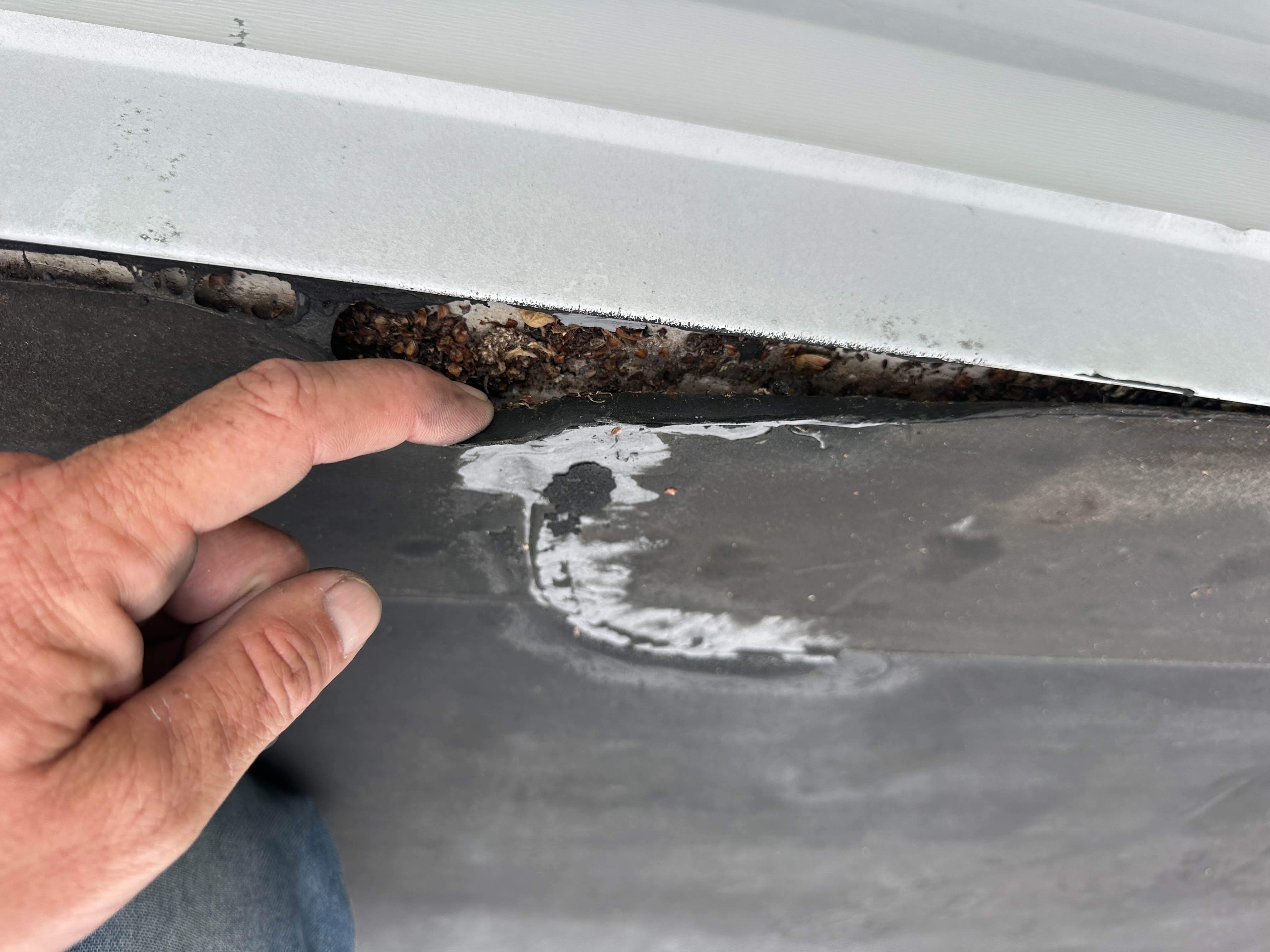 Inspecting a failed seam at a flat roof wall transition